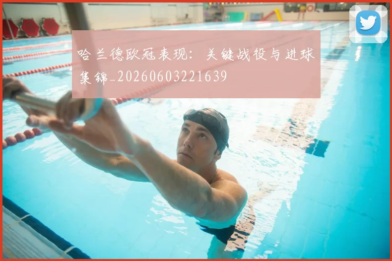 哈兰德欧冠表现：关键战役与进球集锦_20260603221639