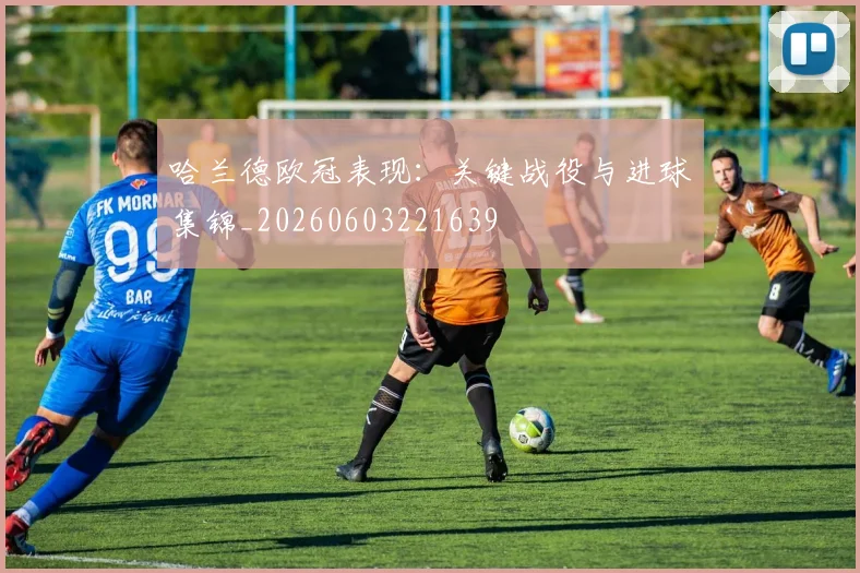 哈兰德欧冠表现:关键战役与进球集锦_20260603221639