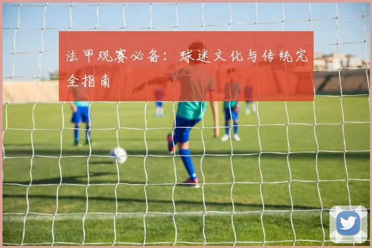 法甲观赛必备：球迷文化与传统完全指南